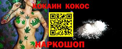 соль ск Новозыбков