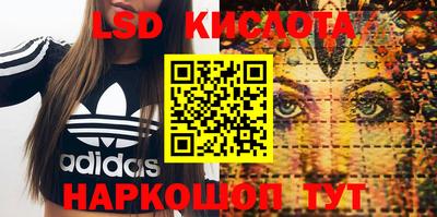 соль ск Новозыбков