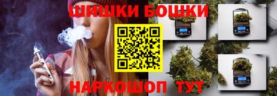 соль ск Новозыбков