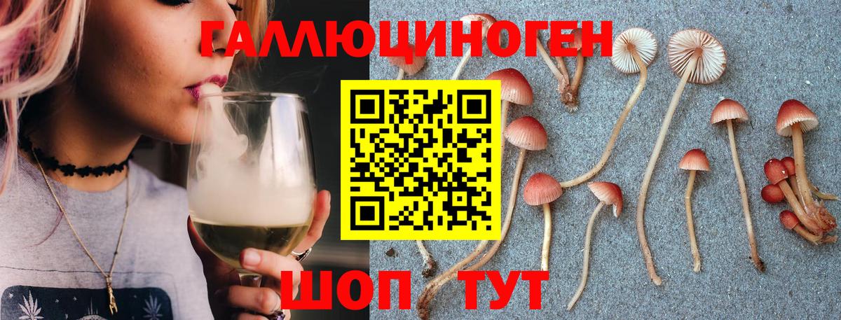 Псилоцибиновые грибы Cubensis  Вход с VPN  Рославль 